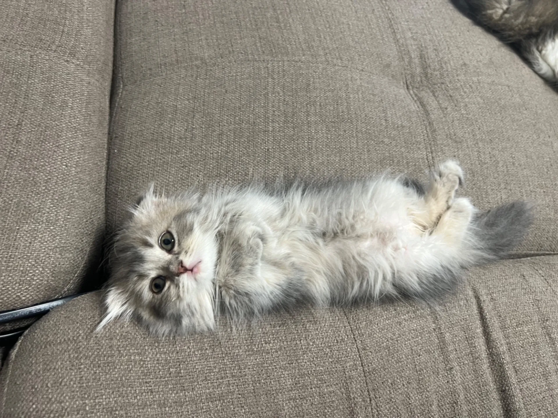 寝やすいのかな